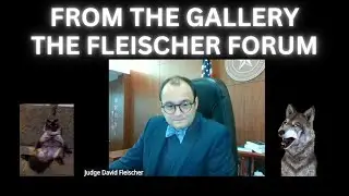 Judge Fleischer - Feb 17, 2025 - Docket Discussion Forum