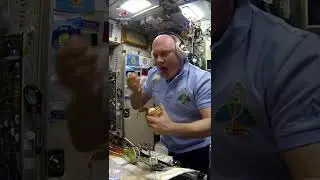 #Омлет на #завтрак #космонавт #мкс #iss #космос #space #ОлегАртемьев #космическаяеда