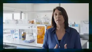 Ep 15|Carmen Freire - Polymeric Innovation: Explore Biopolymers and Bioactive Molecules in Materials