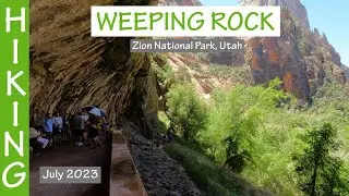 Hiking Weeping Rock (Zion National Park, Utah). July 2023