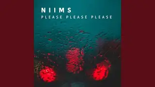 Please Please Please