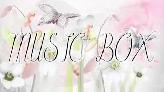 Music Box - ดาว -  Pause