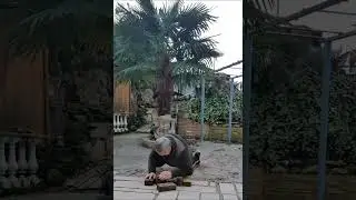 #motivation #fitimalter #calisthenics#nevergiveup