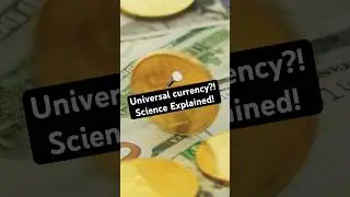 What If the World Had One Universal Currency? 🌍💸