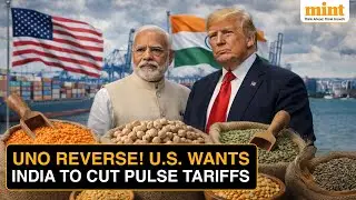 Lentils, Chickpeas and Trade Power: Why Pulse Tariffs Are Now at the Heart of U.S. - India Talks