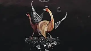 SRN001 | Subandrio - Moas Gone (Original Mix) [Serendeep]