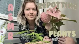 Plant chore ASMR 🌱 {repotting} 🪴 & therapy ramble about work/ care coaching