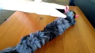 Homemade Cat Costume Tutorial