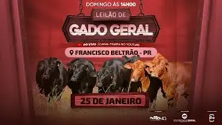 Leilão de Gado Geral, FRANCISCO BELTRÃO/PR - 25/01/2026 14:00h