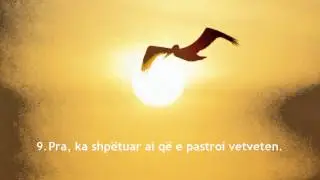 GREAT recitation of Surah Ash-Shams (Hfz.Shefik Sadiku) HD