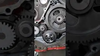 cummins engine  timing sets