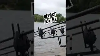 D&eacute;part de carpe sur les d&eacute;tecteurs fox mx #carpe #carpfishing #fox #carp