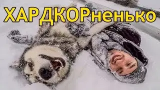 КРАШ ТЕСТ МАЛАМУТ И ХАСКИ / CRASH TEST Malamute and Husky
