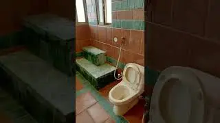 Green Design: Sustainable Bathroom Vanity Choices.#ytshorts#furniture#BathroomVanity#DIYVanity