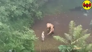 Biologists Stopped Exploring the Jungle After Finding THIS!
