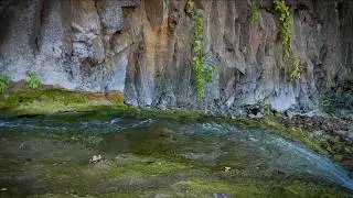 Deep Sleep Water Sounds: Small Forest Stream (No Music) | 1 Hour Nature ASMR