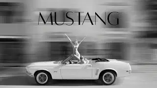 MUSTANG IN PALM DESERT - SNOW DOLLKINSON