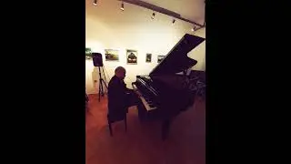 Franz Liszt - Feux Follets