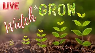 RidgeLife: Watch & Grow LIVE!!!