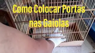 Como Colocar Portas nas Gaiolas