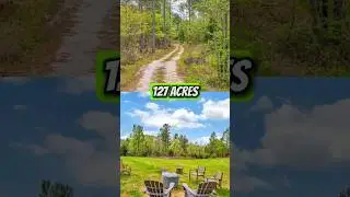 Farm For Sale In Carolina | 127 Acres | 1249 Riley Road, Buffalo, SC 29321