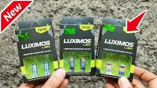 Tes Cahaya LED T10 LUXIMOS Motor Mobil