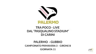 Live dal 