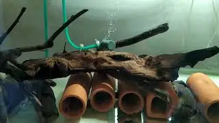 Т&euml;мная вода-Мопани.L066-???????.Часть 1