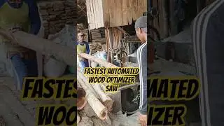 Fastest Automated Wood Optimizer Saw #wood #woodworking #automobile #satisfying#2026 #viral #machine