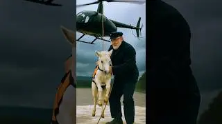 Brave Dog Saving A Trapped Little Horse #rescue #animals #dog