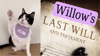 Willow’s Will Reading. Who Did She Leave Everything To? 