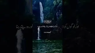 # tarjama e Quran # Quran e Hadees #quranicreality #quranicvideo