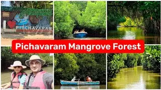 Pichavaram Mangrove Forest full tour | World's 2nd Largest Mangrove Forest Pondicherry Tamilnadu
