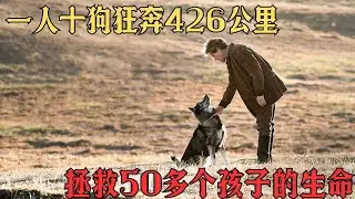 1925 年極地生死接力：20 名雪橇手與 150 隻雪橇犬，5 天半狂奔 1085 公里，只為拯救諾姆市的孩子#movie #影视聚焦 #影视解说 #film #精彩影视 #電影