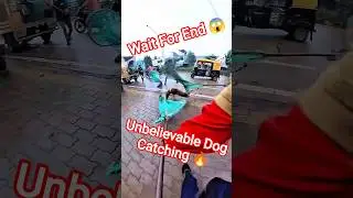 Mafia Double Dog Catch Trailer #dog #dogwithpublicsafety #mafia #ytviral #shorts #pets #trailer
