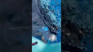 Fixing some leaking pool stairs