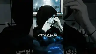 pashto new songs zare zare me wrala