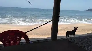 Monster 🌊 at Playa Patr&oacute;n