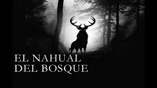 El NAHUAL Del Bosque. Historia Ocurrida En MÉXICO