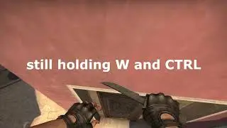 detailed mirage bug