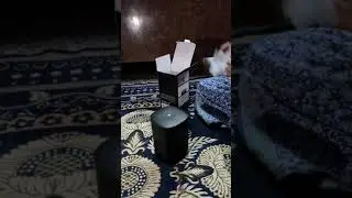 UNBOXING MI SMART SPEAKER IR CONTROL 🙂🙂#shorts #youtubeshorts #unboxing
