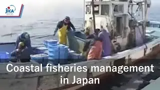 【Agricultural and Rural Development】A practice example of the coastal fisheries management in Japan