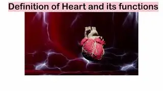 Definition of Heart and its Functions and major heart diseases 🫀🫀