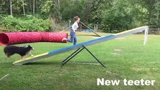 Dog Agility Teeter - New verses Old Teeter (Seesaw)