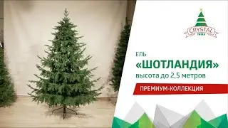 CRYSTAL TREES | Обзор | Ель 