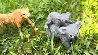 A Koala Story 🐨| Schleich Story |