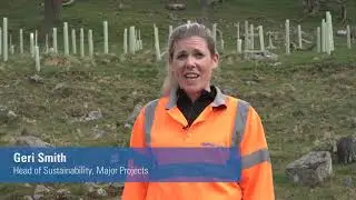 Project tree &ndash; Cragg Estate volunteering day
