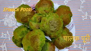 घर पर बनाएं सॉफ्ट और क्रिस्पी पालक पूरी (Soft & Crispy Palak Puri Recipe)
