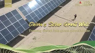 China's Solar Great Wall: Turning desert into green powerhouse