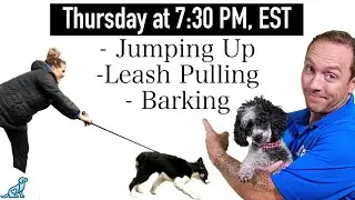 3 Dog Training Steps To Stop ANY Unwanted Behavior!